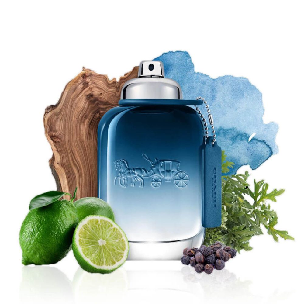 Coach Blue Eau De Toilette 100ML