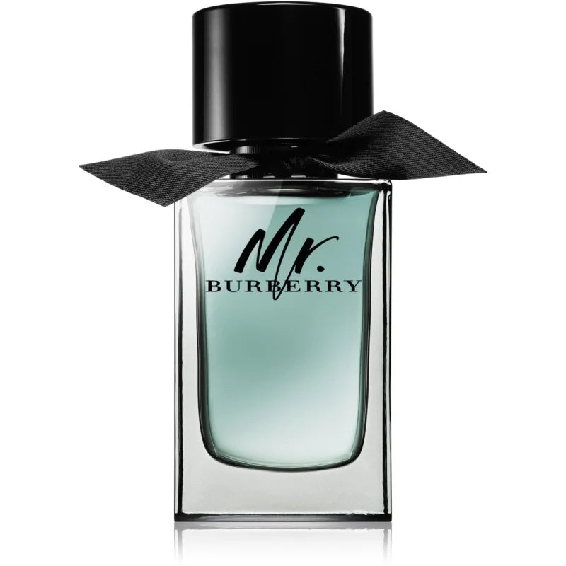 Burberry Mr Burberry For Men Eau De Toilette 100ML