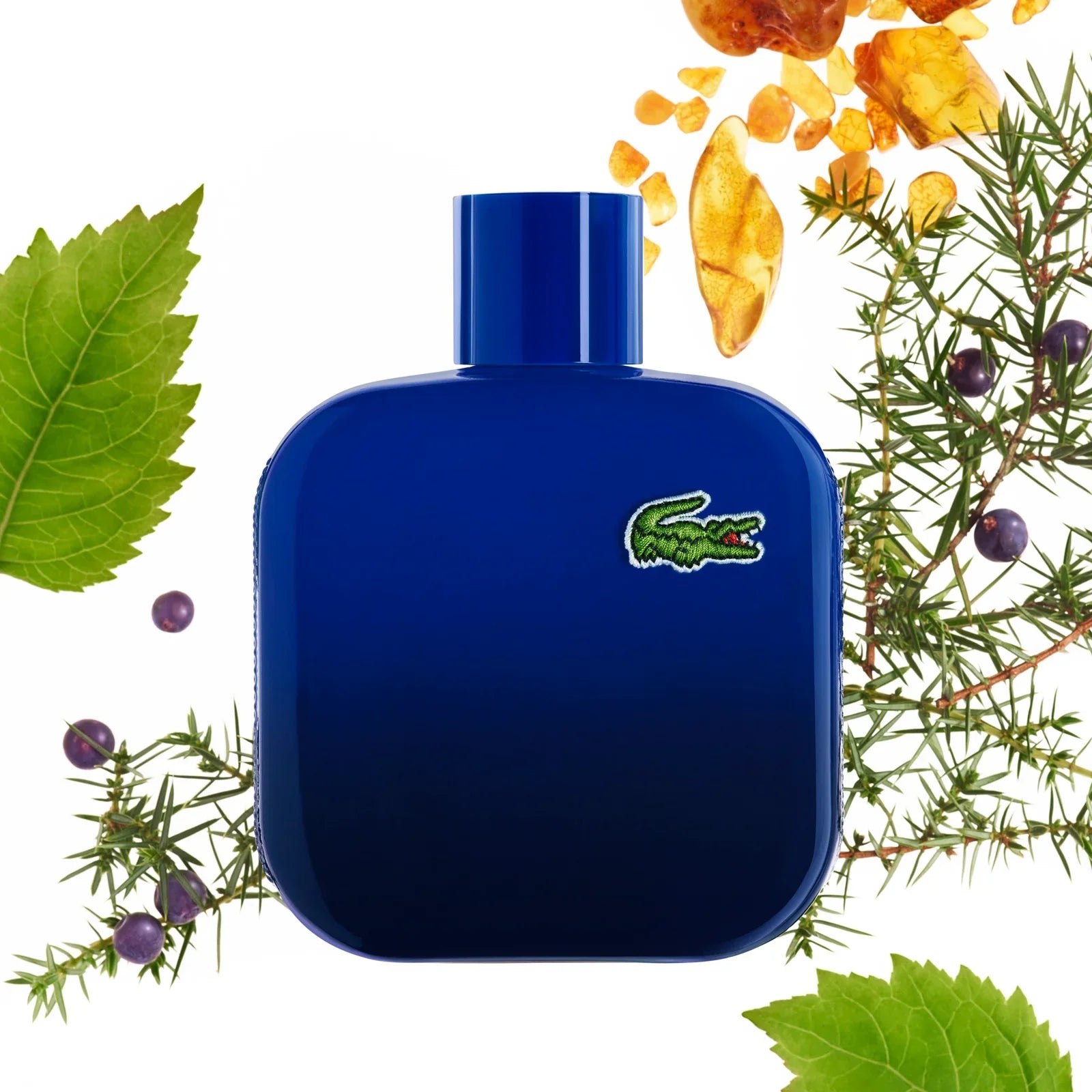Lacoste L.12.12 Pure Lui Magnetic For Men Eau De Toilette 100ML