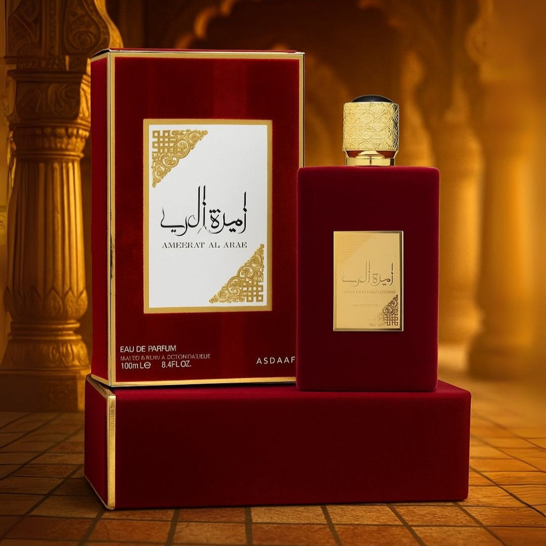 6 in 1 Family Perfumes Bundle Offer– Back to School | Free Delivery Available