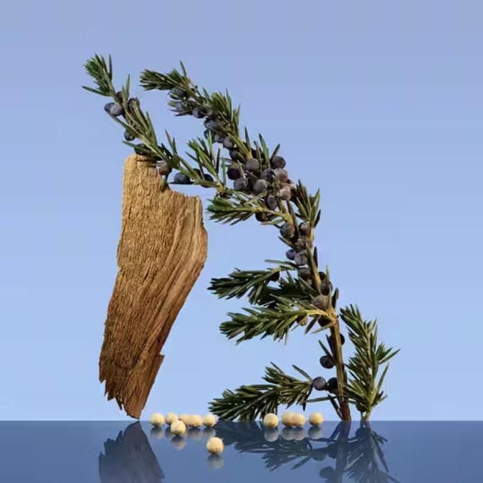 Calvin_Klein_Be_Eau_de_Toilette_200ml