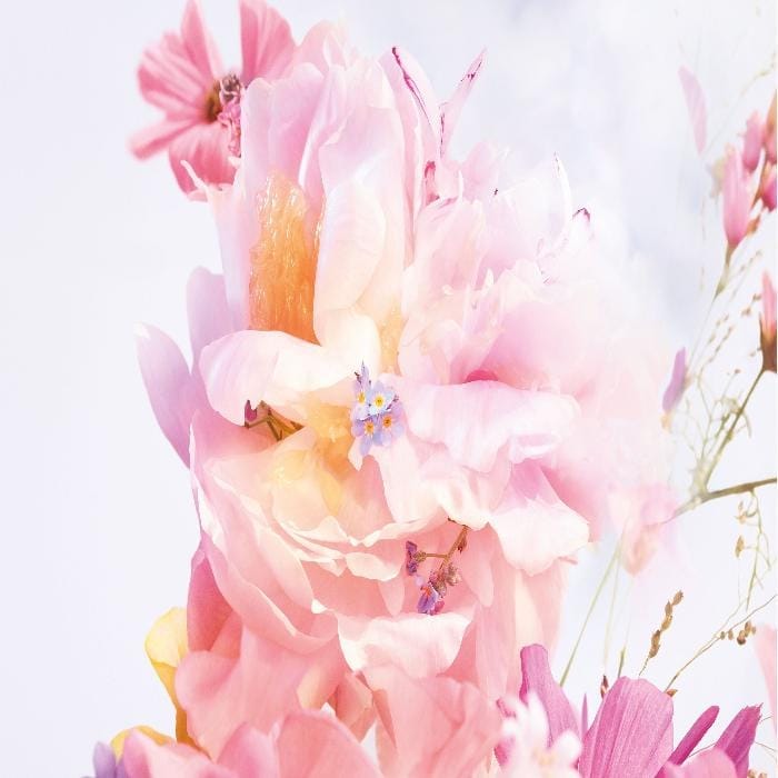 Miss_Dior_Parfum_Pure_Perfume_flowers