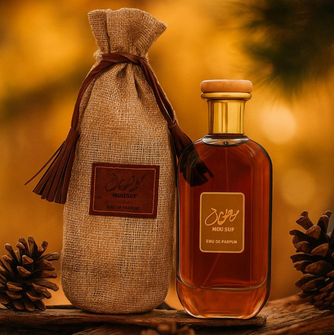 6 in 1 Family Perfumes Bundle Offer– Back to School | Free Delivery Available