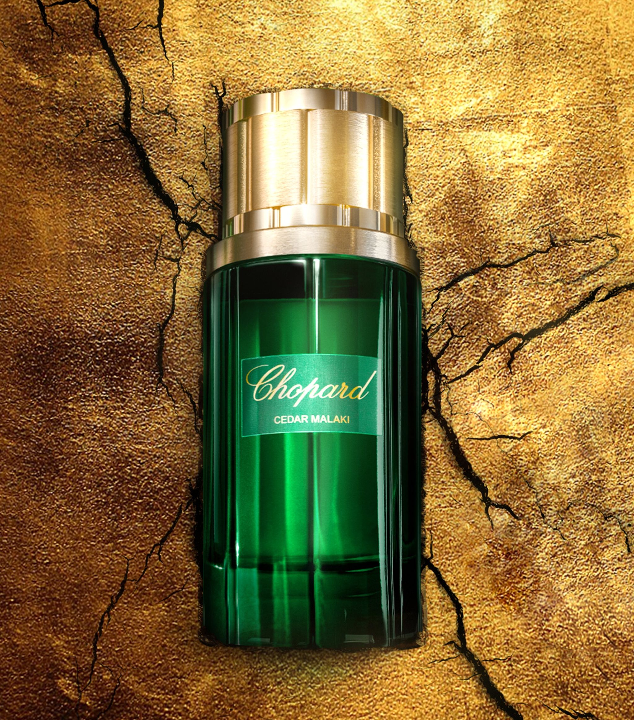 Chopard Cedar Malaki M EDP 80ML