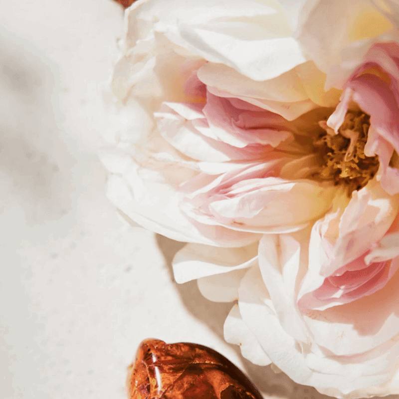 luxury_perfume_dubai