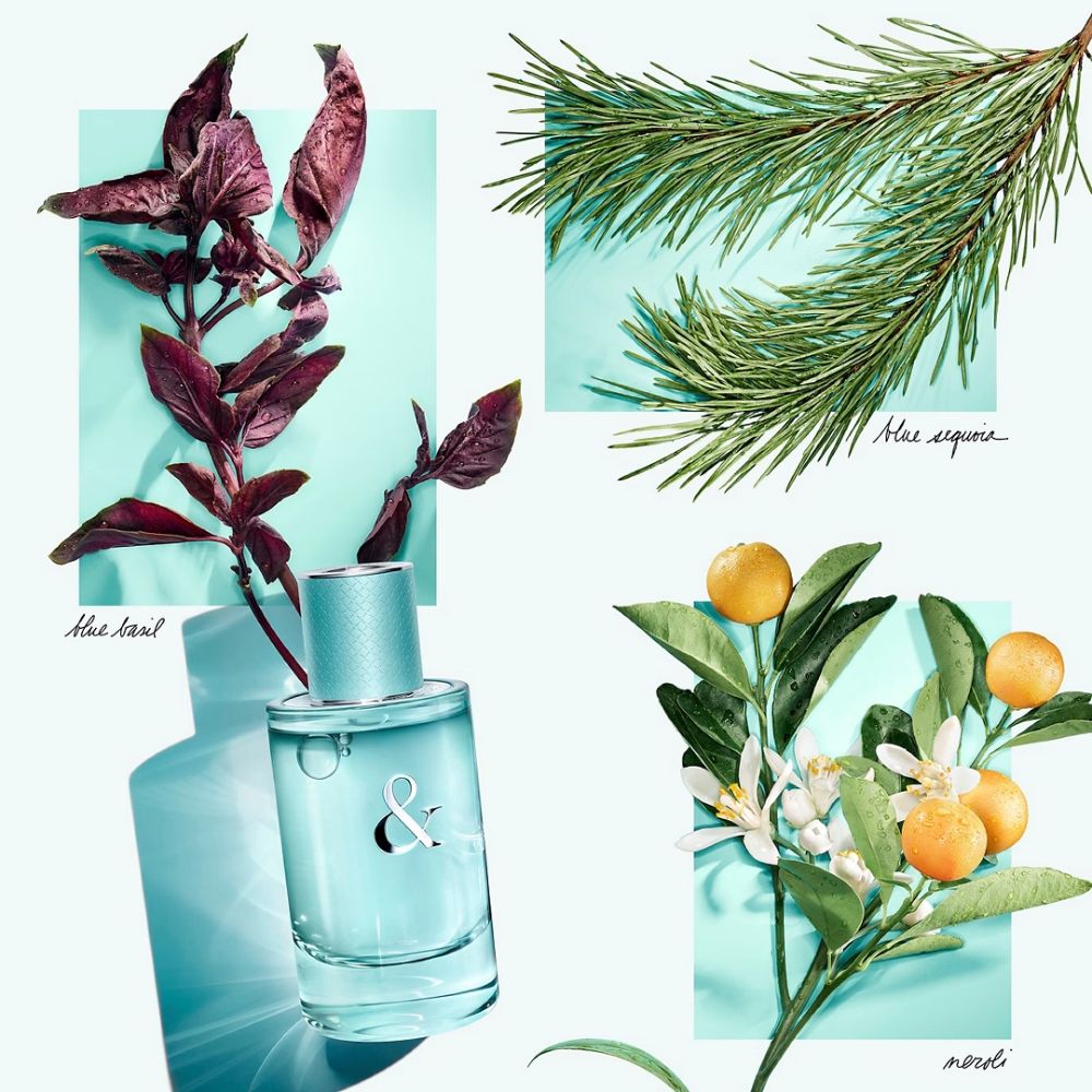 Tiffany & Co Love For Women Eau De Parfum 90ML